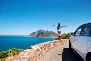 Cape Town: Cape Point, Constantia Wine Tour Private Transfer