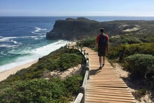 Kapkaupunki: Cape Pointin kokopäiväretki