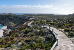 Cape Town: Cape Point heldagstur
