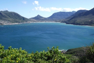 Cape Town: Cape Point heldagstur