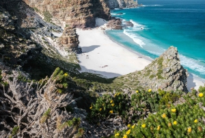 Cape Town: Cape Point heldagstur
