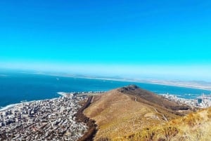 Cape Town: Cape Point, Penguins And Wine Tasting