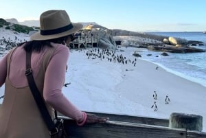 Ciudad del Cabo: excursión de 1 día a Punta del Cabo, pingüinos y helado