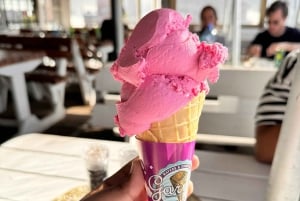 Ciudad del Cabo: excursión de 1 día a Punta del Cabo, pingüinos y helado