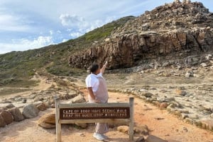 Ciudad del Cabo: excursión de 1 día a Punta del Cabo, pingüinos y helado
