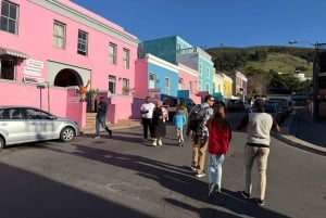 Ciudad del Cabo: excursión de 1 día a Punta del Cabo, pingüinos y helado