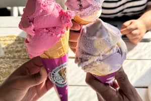 Ciudad del Cabo: excursión de 1 día a Punta del Cabo, pingüinos y helado