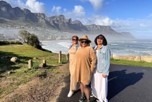 Ciudad del Cabo: excursión de 1 día a Punta del Cabo, pingüinos y helado