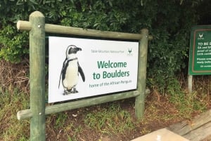 Cape Town: Cape Point, Penguins, Stellenbosch wine tasting