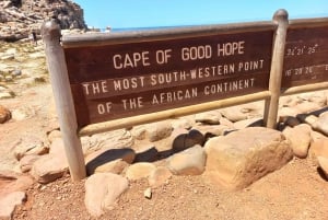 Cape Town: Cape Point, Penguins, Stellenbosch wine tasting