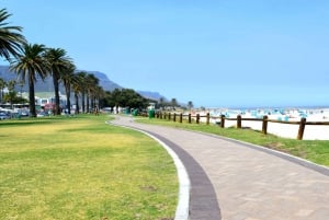 Cape Town: Cape Point, Penguins, Stellenbosch wine tasting