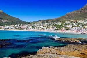 Cape Town: Cape Point, Penguins, Stellenbosch wine tasting