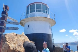 Cape Town: Cape Point, Penguins, Stellenbosch wine tasting