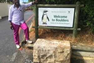Cape Town: Cape Point, Penguins, Stellenbosch wine tasting