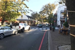 Cape Town: Cape Point, Penguins, Stellenbosch wine tasting