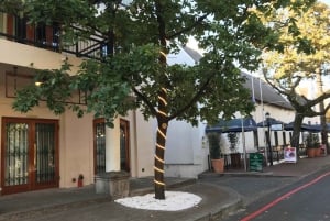 Cape Town: Cape Point, Penguins, Stellenbosch wine tasting