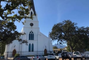 Cape Town: Cape Point, Penguins, Stellenbosch wine tasting