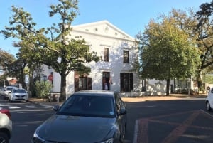 Cape Town: Cape Point, Penguins, Stellenbosch wine tasting