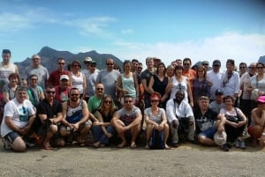 Cape Town: Cape Point, Penguins, Stellenbosch wine tasting