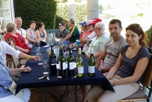 Cape Town: Cape Point, Penguins, Stellenbosch wine tasting