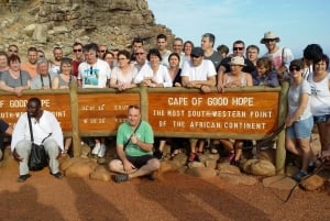 Cape Town: Cape Point, Penguins, Stellenbosch wine tasting