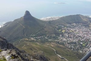 Cape Town: Cape Point, Penguins, Stellenbosch wine tasting