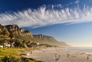 Cape Town: Cape Point, Penguins & Table Mountain Day Tour