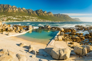 Cape Town: Cape Point, Penguins & Table Mountain Day Tour