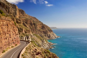 Cape Town: Cape Point, Penguins & Table Mountain Day Tour