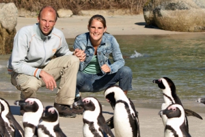 Cape Town: Cape Point, Penguins & Table Mountain Day Tour