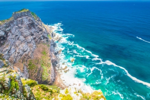 Cape Town: Cape Point, Penguins & Table Mountain Day Tour