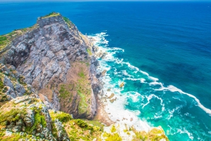 Peninsula-päiväretki: Cape Point, pingviinit ja Pöytävuori