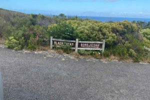 Le Cap : location de vélos de montagne à Cape Point avec itinéraire