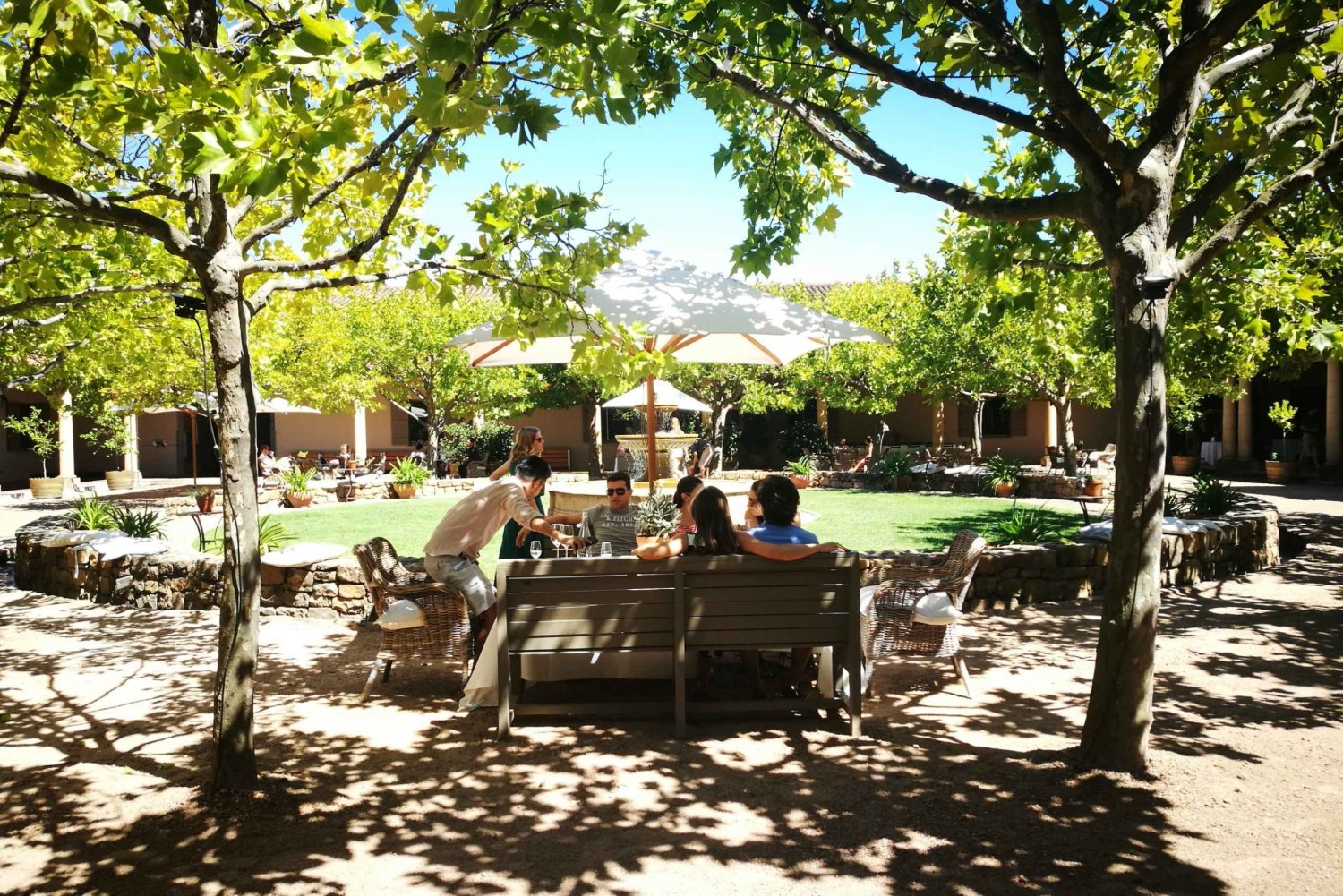 Stellenbosch: Best of the Winelands Private Tour & Tastings