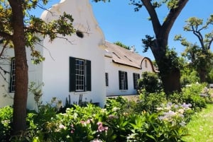 Cape Town: Cape Winelands Day Trip, Winery Tour, & Tastings