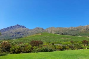Cape Town: Cape Winelands Day Trip, Winery Tour, & Tastings