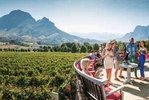 Cape Town: Cape Winelands Full-Day Shared Tour