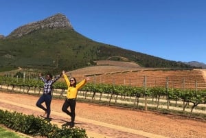 Cape Town: Cape Winelands Full-Day Shared Tour