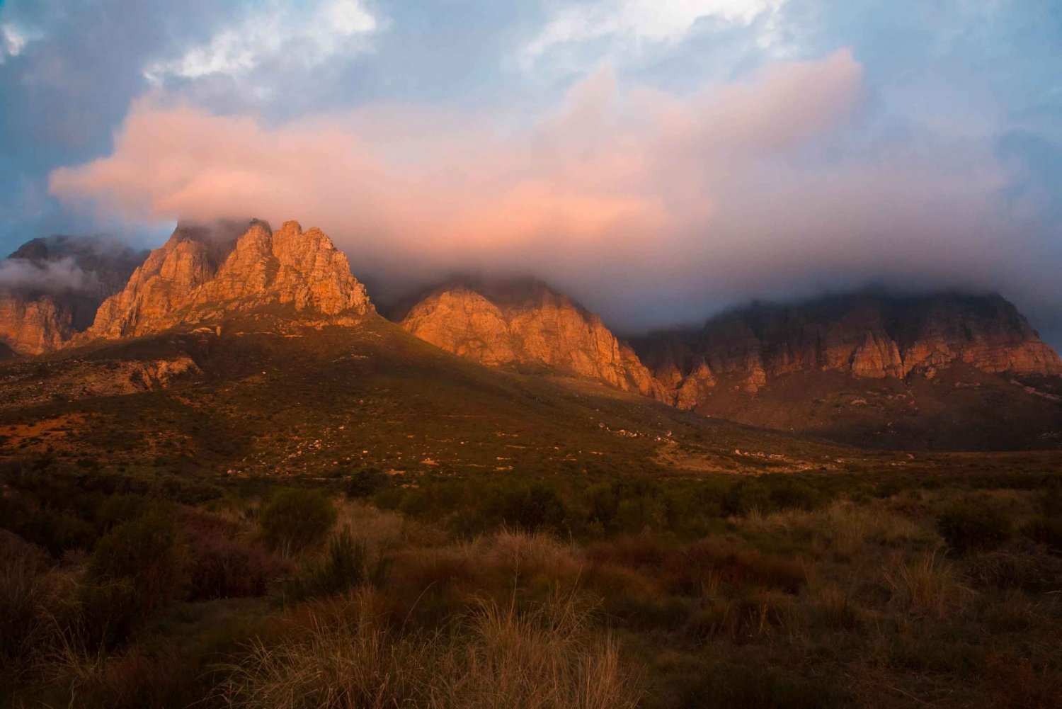 Cape Town: Guidede vandreture i Cape Winelands