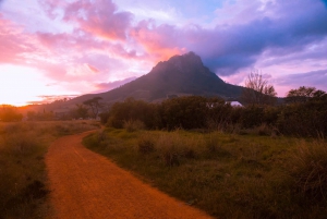 Cape Town: Cape Winelands guided hiking tours