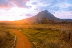 Cape Town: Cape Winelands guided hiking tours