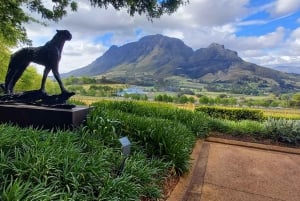 Cidade do Cabo: Excursão matinal privativa a Cape Winelands Stellenbosch