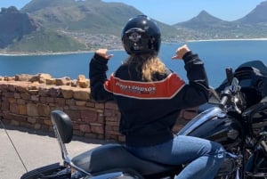 Cape Town: Chapman’s Peak Harley-Davidson Tour