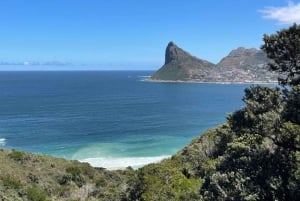 Cape Town: Chapman’s Peak Harley-Davidson Tour