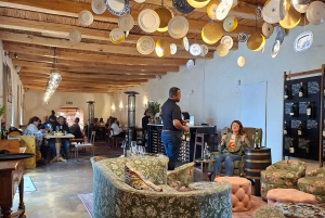 Kapstaden: CHEETAH ENCOUNTER/VINPROVNING/LUNCH