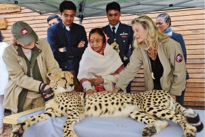 Kapstadt: Cheetah Outreach und Winelands Private Tour