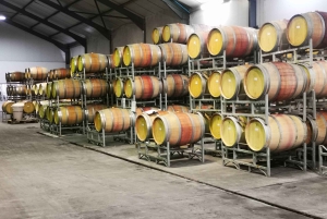 Ciudad del Cabo: ENCUENTRO CON GUAPOS/EXPERIENCIA DE CATA DE VINOS/ALMUERZO