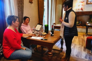 Ciudad del Cabo: ENCUENTRO CON GUAPOS/EXPERIENCIA DE CATA DE VINOS/ALMUERZO