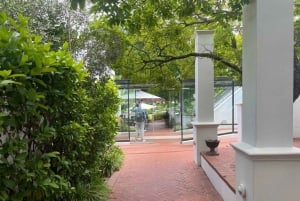 Città del Capo: visita al ghepardo, incontro con la giraffa e tour del vino