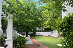 Città del Capo: visita al ghepardo, incontro con la giraffa e tour del vino